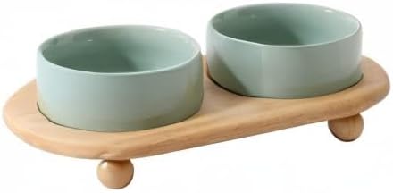 Ceramic Elevated Cat Food and Water Bowl, Kitty Bowl, Raised Cat Dish, Pet Feeder (5.1 in, 2 x Light Green + Stand)