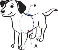 Sense-ible No-Pull Dog Harness - Black Small