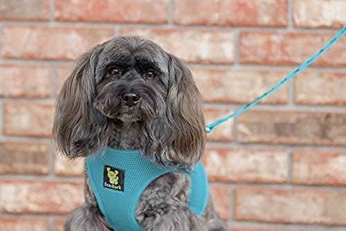 EcoBark Step in Dog Harness - Eco-Friendly Dog Harnesses for for Small & Medium Breed Dogs - Reflective and Adjustable Chest Body Halter Vest -Soft Luxurious Mesh (Baby Blue, XL)