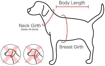 Puppia Vivien Dog Harness Over-The-Head All Season Cute No Pull No Choke Walking Training Adjustable for Small Dog, Black, Small
