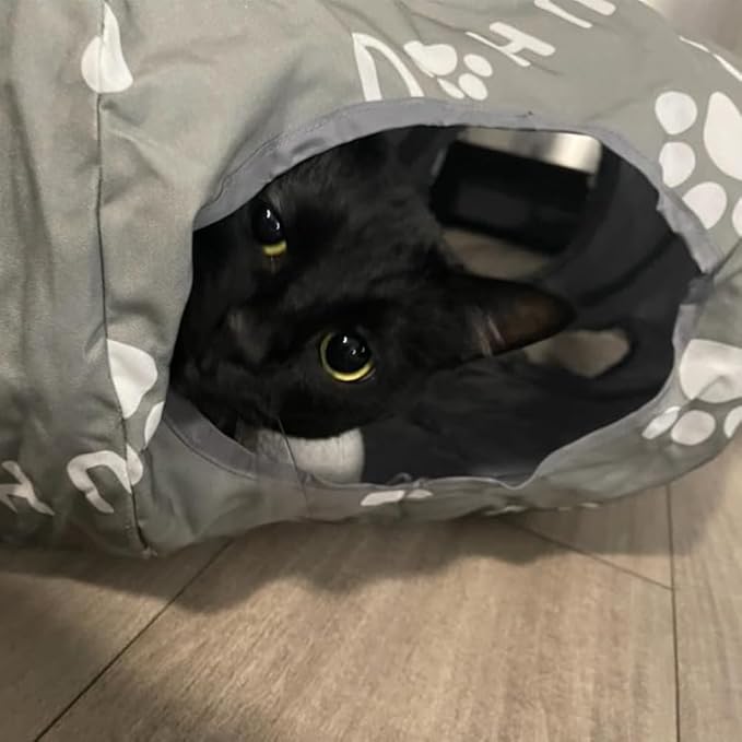 Cat Tunnel Bed for Indoor Cats, Donut Tunnel with Mat, Straight Tunnel, 4 Hanging Balls and Blackout Tent, Collapsible Peekaboo Cat Cave