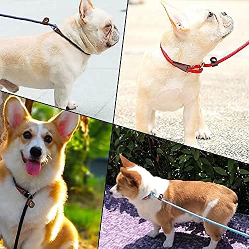 MayPaw Slip Lead Control Leash for Dogs No Pull, 13+ Colors Classic Dog Lead 7 FT Pet Slip Leash, 1/4” Rope Leashes for Small Medium Animals (7ft*1/4", Red)