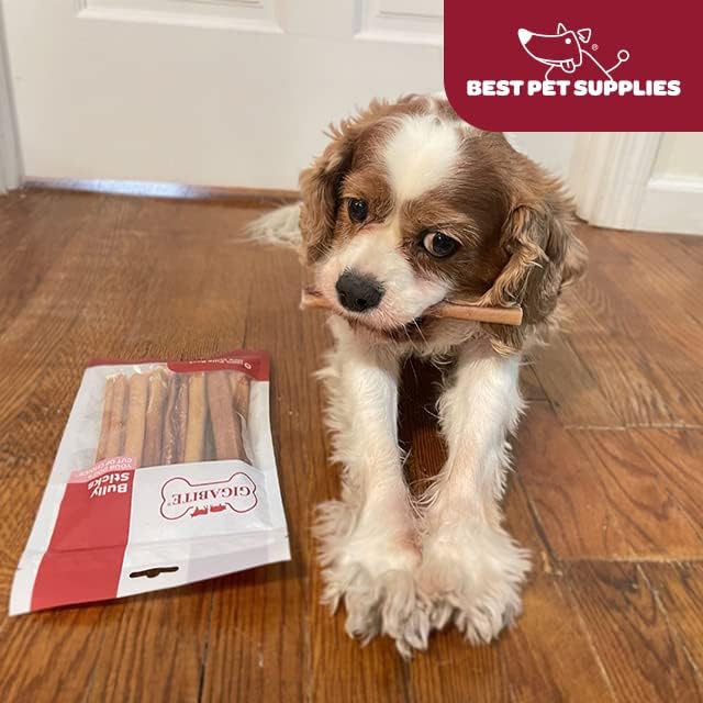 GigaBite Single Ingredient All Natural Free Range Bully Treats and Chews - Bully Sticks/Bladder Sticks/Beef Esophagus by Best Pet Supplies - Bully Sticks (Premium 12"), Pack of 6
