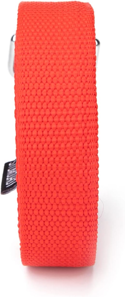 Strong Durable Nylon Dog Training Leash, 1 Inch Wide Traction Rope, 6 ft 10ft 15ft Long, for Small and Medium Dog (Red, 15 Feet)