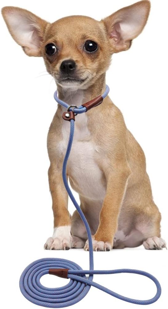 BTINESFUL 7ft Slip Lead Dog Leash, Strong Nylon Rope Leash, 1/4" Dog Training Lead for Small Medium Dogs, 14+ Colors