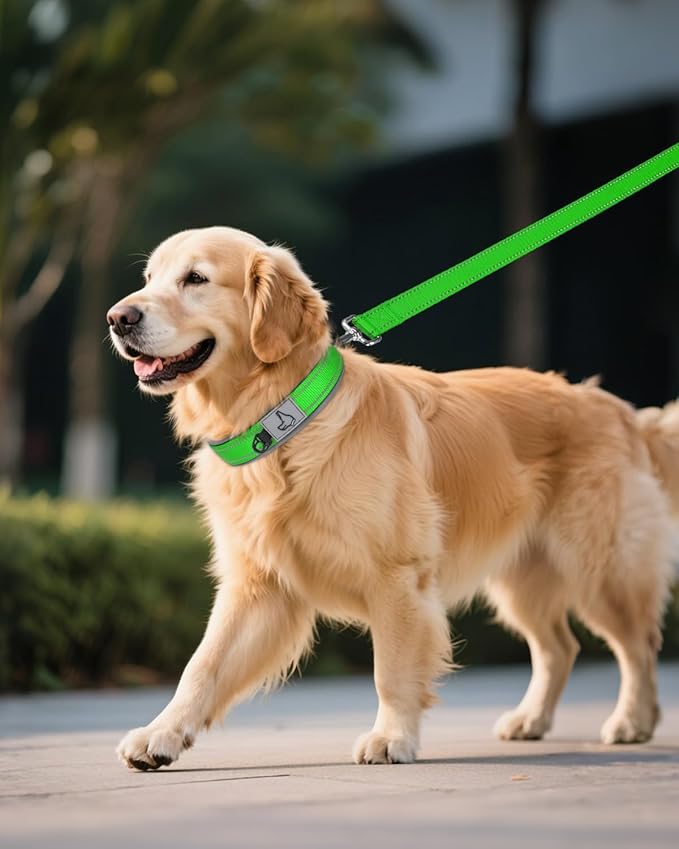 Joytale Dog Collar for Extra Large Dogs, Neoprene Padded and Adjustable, Reflective Wide Heavy Duty Pet Collars with Durable Metal Belt Buckle for Walking, Green, XL