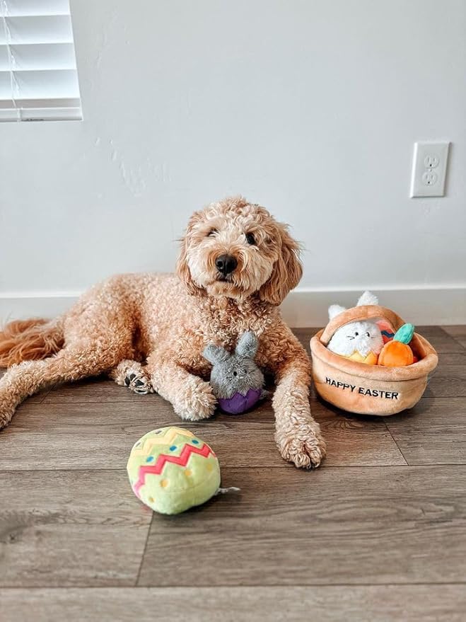 Midlee Hide a Toy Easter Basket Dog Toy