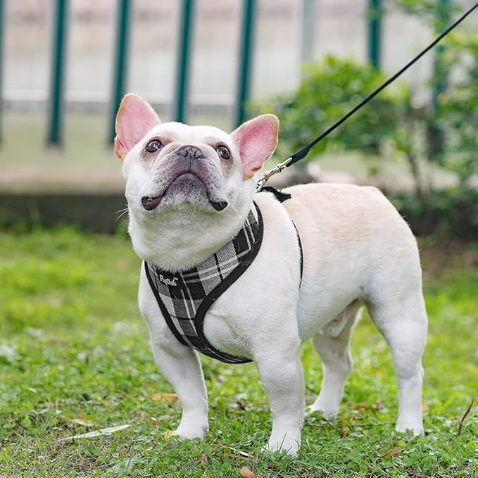 PUPTECK Soft Mesh Dog Harness and Leash Set Pet Puppy Cat Comfort Padded Vest No Pull Harnesses, Black&White, S
