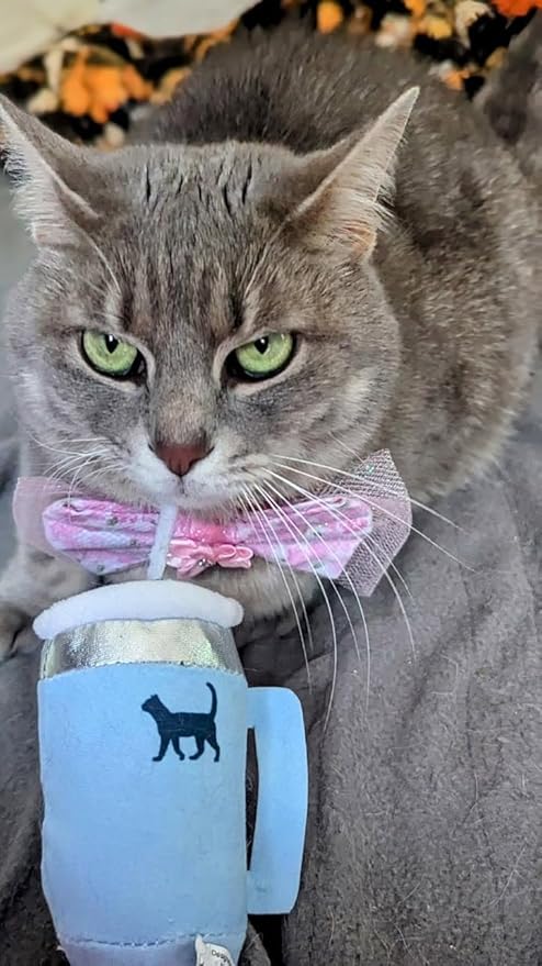 Kitty Cup Catnip Toy - Valentines & Birthday Cat Gift Toy with Catnip & Crinkle, Funny Gift for Girl Indoor Kitten (Chambray Blue)