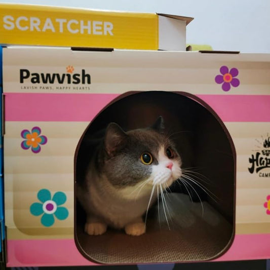 Camper Cardboard Cat House and Scratcher, Play House, Scratching Pad, Corrugated Hideaway Cave, Cute Kitty Condos Box, Bed for Indoor Cats, Kittens, Bunny, Fur Babies