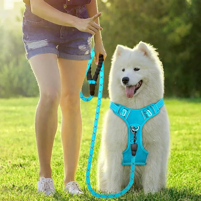BARKBAY Dog Harness No Pull Oxford with ID Tag Pocket - Heavy Duty, Reflective, Easy Control for Large Dogs(Aqua Oxford,S)