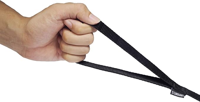 Strong Durable Nylon Dog Training Leash, 1 Inch Wide Traction Rope, 6 ft 10ft 15ft Long, for Small and Medium Dog (Black, 15 Feet)