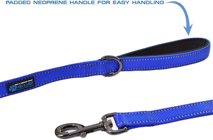 Max and Neo Reflective Nylon Dog Leash - Donate a Leash to Rescue for Each Sold (Black, 4ft)