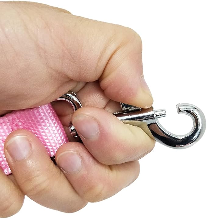 Nylon Dog Training Leash, Traction Rope, 4Ft /5 Foot /6 Feet Long, 5/8 inch 3/4 Inch 1 Inch Wide, for Small and Medium Dogs (Pink, 1'' x 20 FT)