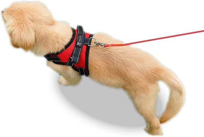 No Pull Reflective Adjustable Dog Harness With Handle- Comfortable Soft All Weather Mesh, Easy On Puppy Harness For Small Medium and Large Dogs (Red) X-Small