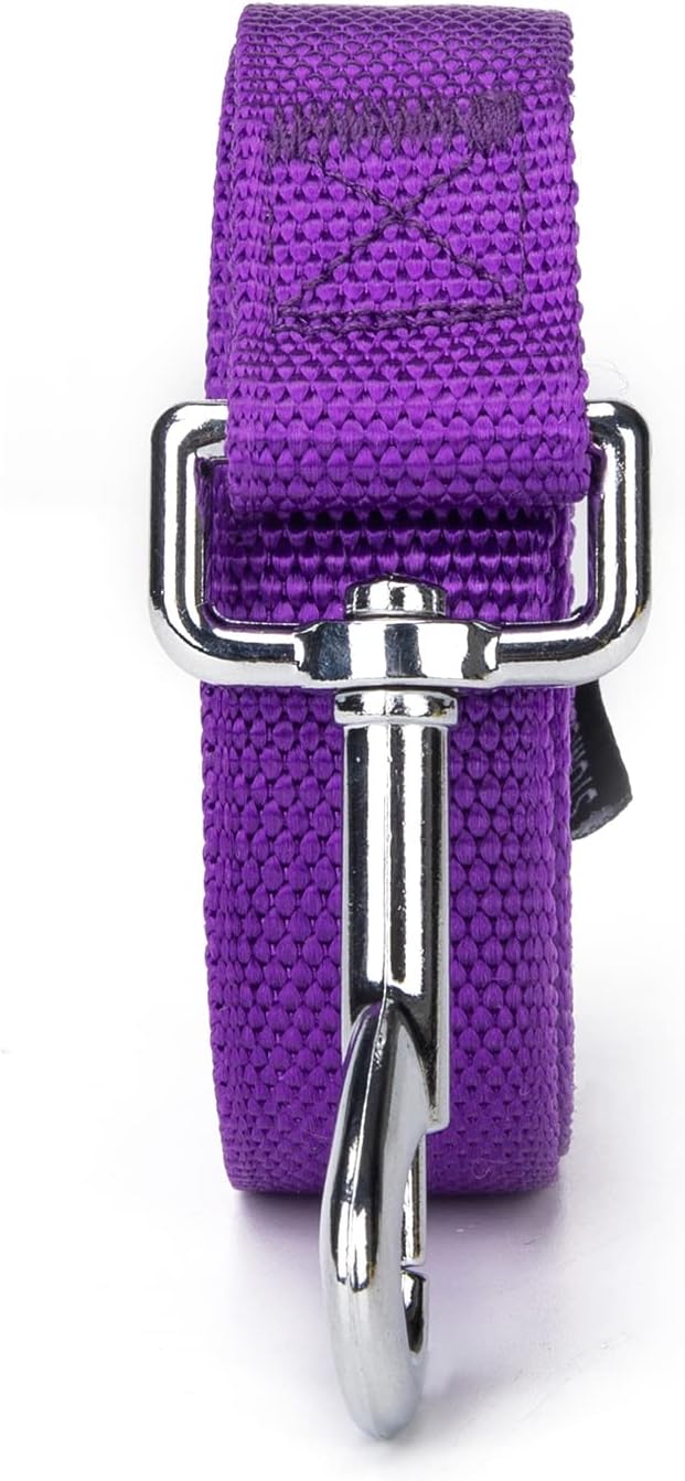 Strong Durable Nylon 10ft Long Dog Training Leash, Traction Rope, 1 Inch Wide, for Small and Medium Dog (Purple, 10 Feet)