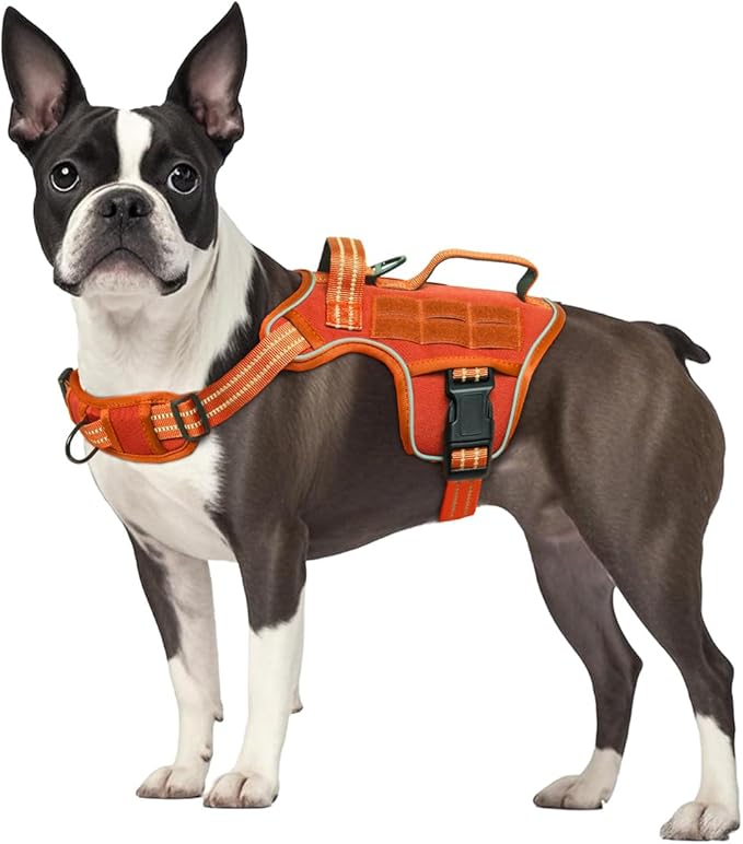 Small Dog Harness, Heavy Duty Tactical No Pull Dog Harness, No Choke, Easy On and Off Pet Vest with Molle System, Adjustable Reflective Dog Vest with Breathable Padded for Walking Hiking Training