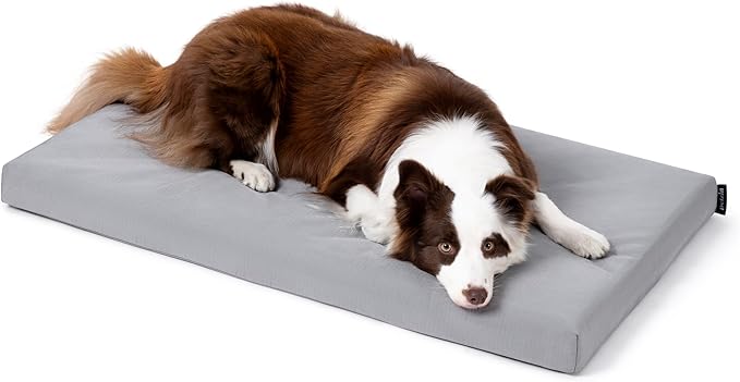 Cybarmour Indestructible Dog Bed - Outdoor Waterproof Chew Proof Dog Crate Pad - Orthopedic Kennel Mat for Aggressive Chewers - Large Breeds & Fits 36-Inch Crate - 35"x22", Limestone