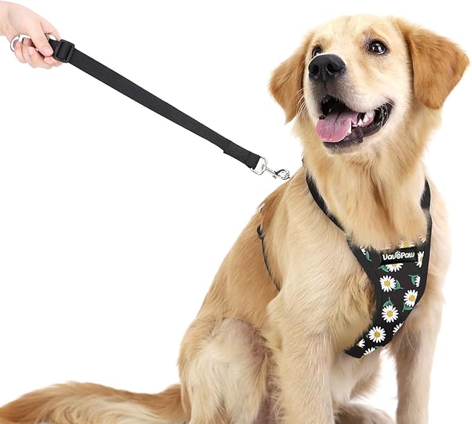 Dog Seat Belt, Safety Vest Dog Car Harness with Adjustable Buckle Dog Seat Belt for Vehicle Nylon Pet Safety Seat Belts Heavy Duty(XL, Black Daisy)