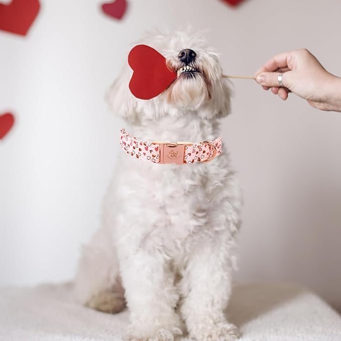 Elegant little tail Dog Collar, Valentine's Dog Collar Pet Collar, Pink Heart Dog Collar Cute Girl or Boy Dog Collar Puppy Pet Gift Adjustable Dog Collar for Large Dogs