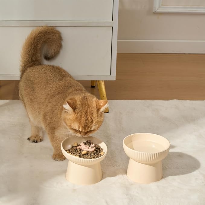 Ceramic Elevated Cat Bowls-Water Bowl, 15° Tilted Design, Anti-Vomiting & Spine Protection, Prevent Whisker Fatigue for Kittens to Adult Cats and Small Dogs (Black-Elevated Cat Bowls-2)
