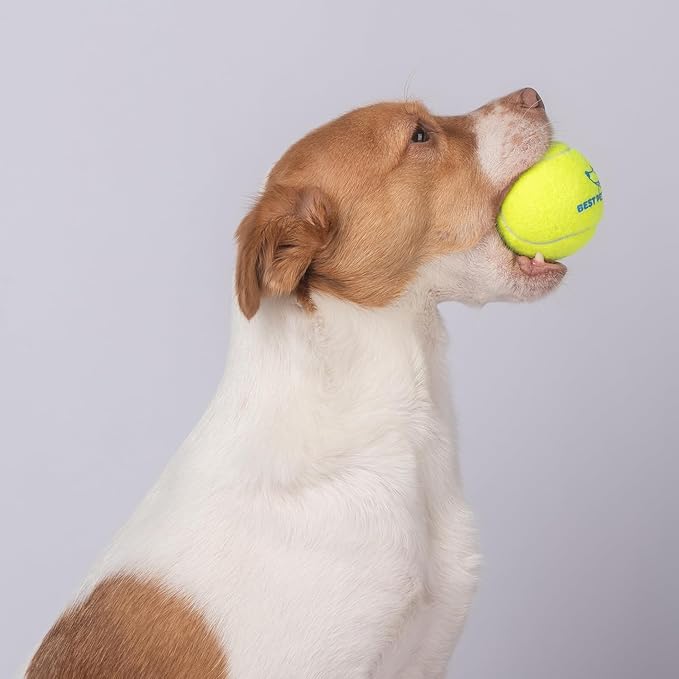 Best Pet Supplies Interactive Squeaky Dog Chew Toy, Ideal Dog Toys for Chewers, Small, Medium & Large Dogs, and Fetch Lovers - Tennis (Yellow), Small (Pack of 4)