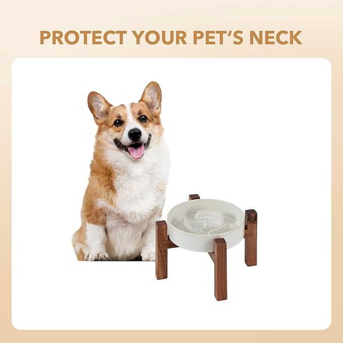Ceramic 0.9 Cup Raised Slow Feeder Dog Bowl Set, Elevated Acacia Wood Stand for Small Dog and Cat, 6.1inch Slow Dish, Stop Bloat(Single Bowl+ Stand, Reactived Glaze -White)