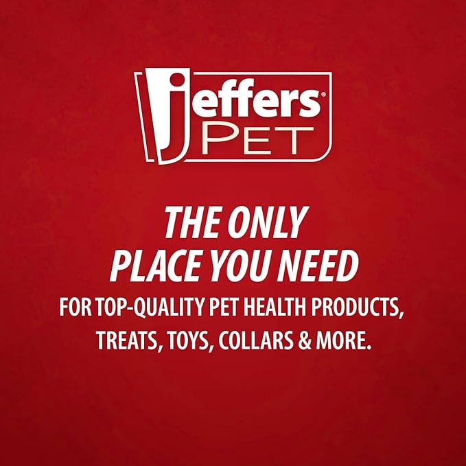 Jeffers No Skid No Tip Stainless Steel Pet Bowls for Dogs & Cats - Non-Slip Food & Water Feeder Dish with Black Rubber Base, Durable Easy to Clean Feeding Bowl for Indoor & Outdoor Use - 1 Pint