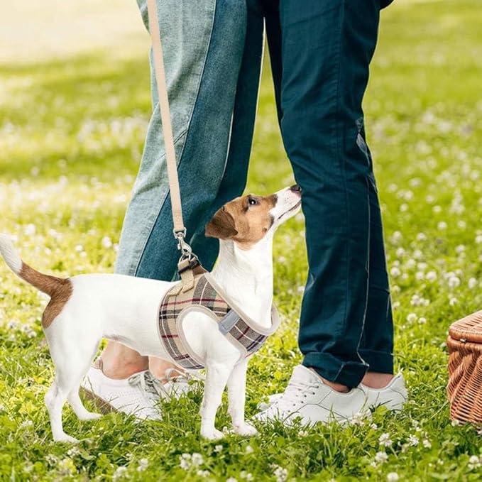 PUPTECK Adjustable Dog Harness Collar and Leash Set Step in No Pull Pet Harness for Small Medium Dogs Puppy and Cats Outdoor Walking Running, Soft Mesh Padded Reflective Vest Harnesses, Beige XS