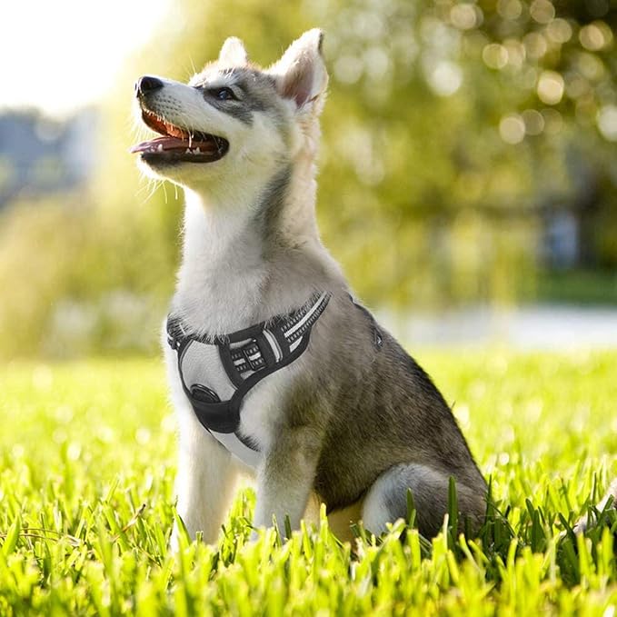 rabbitgoo Dog Harness No Pull with 2 Leash Clips, Adjustable Soft Padded, Reflective Oxford No Choke Pet Vest with Easy Control Handle for Small Dogs, Grey, S