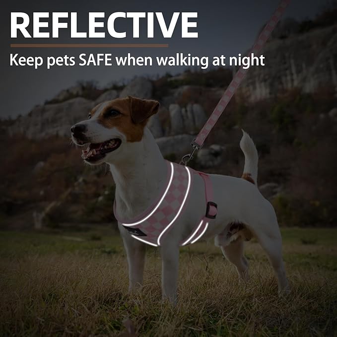 PUPTECK Soft Mesh Dog Harness and Leash Set Pet Puppy Cat Comfort Padded Vest No Pull Harnesses, Checkered Pink&White, L