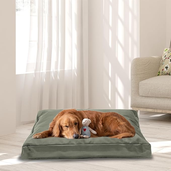 Replacement Dog Bed Cover,Heavy Duty Waterproof Removable 54" L x 44" W x 4" H Reusable Dog Bed Covers with Zipper.Grey Green,Cover Only