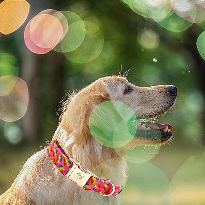 Elegant little tail Dog Collar, Holiday Pet Collar Dog Durable Rainbow Print Dog Collars Girl or Boy Soft Pet Gift Adjustable Dog Collar for Small Medium Large Dogs