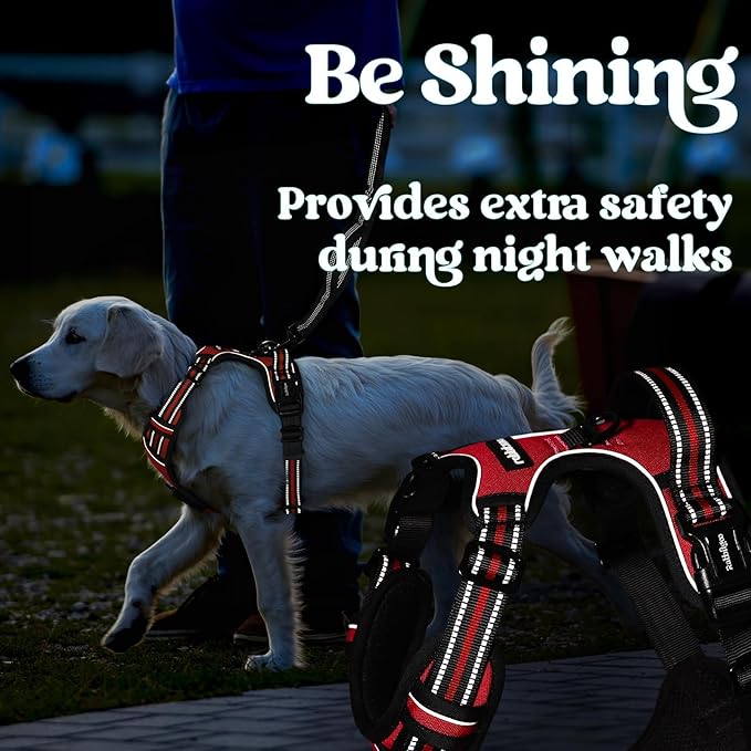 rabbitgoo Dog Harness Small Sized, No Pull Pet Harness with 3 Buckles, Adjustable Soft Padded Vest with Control Handle, Walking Reflective Pet Vest for Small Dogs, Red, S