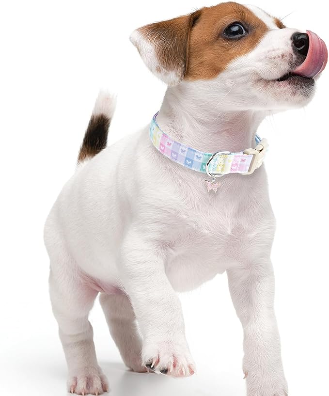 Faygarsle Pastel Butterfly Print Dog Collar, Adjustable with Quick-Release Buckle, Lightweight Summer Design for Small Medium Large Dogs Colorful L