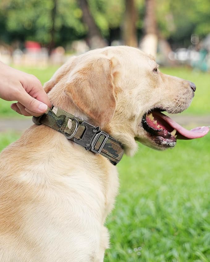Joytale Tactical Dog Collar with Handle, Adjustable Heavy Duty Military Collar with 2 Patches for Training, Suitable for XLarge Dogs, Camouflage, XL