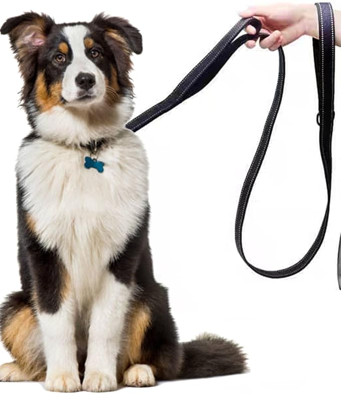 Solmoony 6FT Orange Strong Dog Leash with 2 Padded Handles, Traffic Handle Extra Control, Double-Sided Reflective Walking Lead for Small Medium and Large Dog (Orange, 6FT)