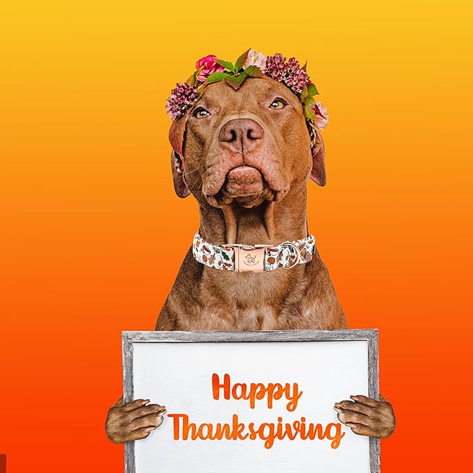 Elegant little tail Thanksgiving Dog Collar, Fall Turkey Print Pet Collar Durable Dog Collars Male or Female Holiday Pet Gift Adjustable Dog Collar for Medium Dogs