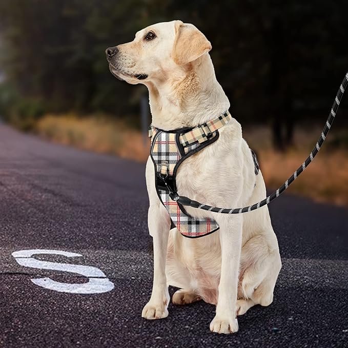 IVY&LANE No Pull Dog Harness with Leash Set, Reflective No Choke Pet Vest,Adjustable Oxford Dog Vest Harness with Easy Control Handle for Small Dogs (Checkered Beige,S)