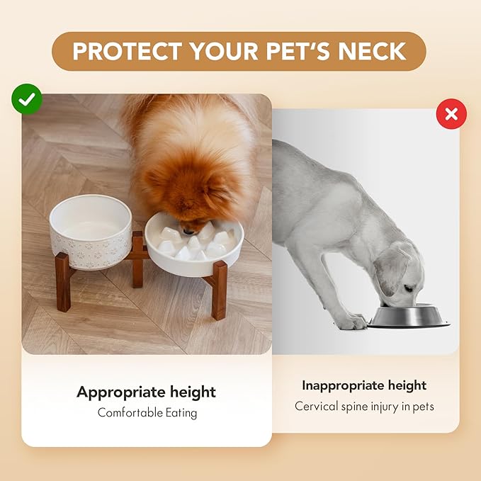 Ceramic 1.2 Cup Raised Slow Feeder Dog Bowl Set, Elevated 6.1inch Bowl and 7.3inch Slow Feeder Dish with Acacia Wood Stand for Small and Medium Dogs (2 x Reactived Glaze -White+ Stand)