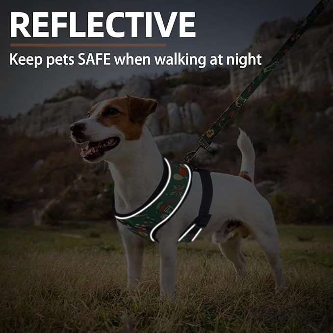 PUPTECK Soft Mesh Dog Harness and Leash Set Pet Puppy Cat Comfort Padded Vest No Pull Harnesses, St. Patrick's Deep Green, M