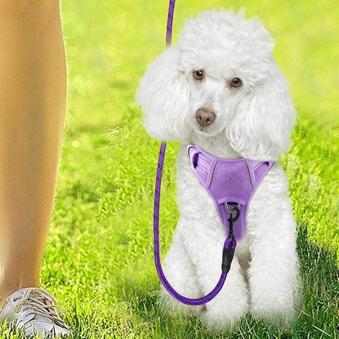 BARKBAY Dog Harness No Pull with ID Tag Pocket - Heavy Duty, Reflective, Easy Control for Large Dogs(Violet Purple,XS)