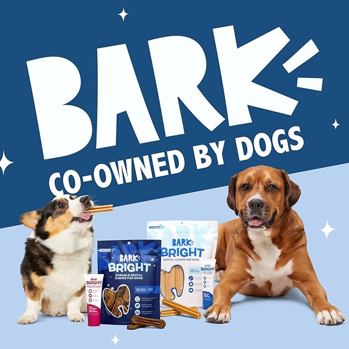 Barkbox Bright Durable Dental Chew Sticks for Dogs - Made for Tough Chewers, Small Breeds (15 Chews)
