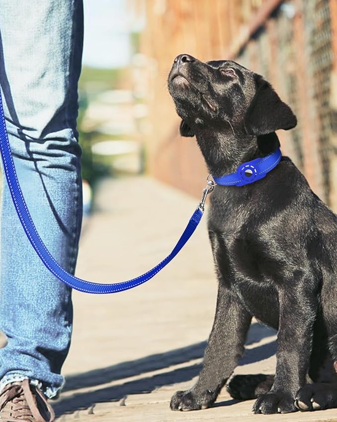 Reflective Dog Leash 6ft Soft Padded Handle Nylon Lead for Small & Medium Dogs, Durable Walking Training Leash for Night Safety (Royal Blue,3/4Inch Wide)