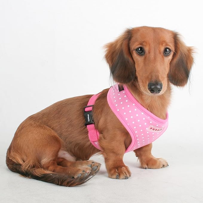 Puppia Dotty Dog Harness Over-The-Head No Pull No Choke Walking Training Adjustable for Small & Medium Dog, Small, Pink