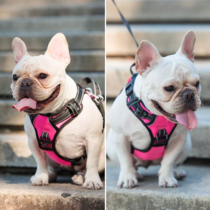 PoyPet No Pull Dog Harness, No Choke Front Lead Dog Reflective Harness, Adjustable Soft Padded Pet Vest with Easy Control Handle for Small to Large Dogs(Pink, Medium)