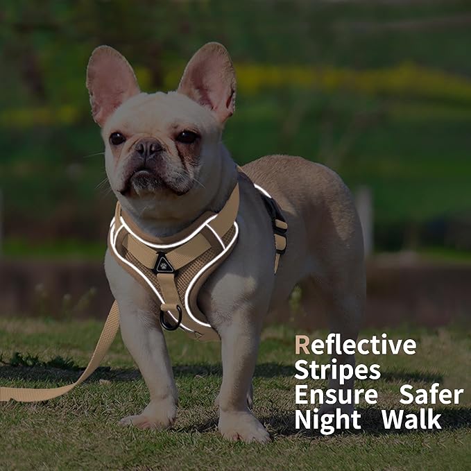 No Pull Dog Harness with Leash Set for Small Sized Dog, Reflective Adjustable No Choke Front Clip Cat Vest Harness with Breathable Mesh, Comfortable Soft Padded Pet Vest, Brown M