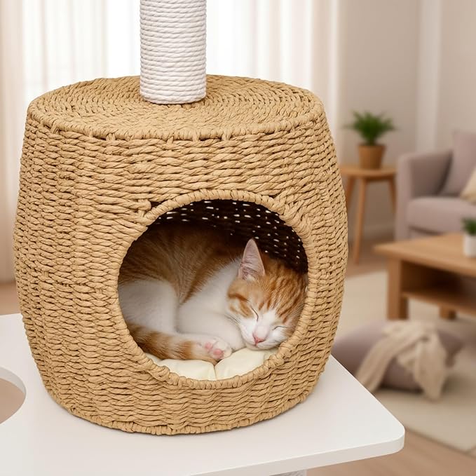 40-Inch Cat Tree with Condo & Hammock, Multi-Level Cat Tower for Indoor Cats with Sisal Scratching Posts, Dangling Ball, Plush Perch, and Removable Cushion, White