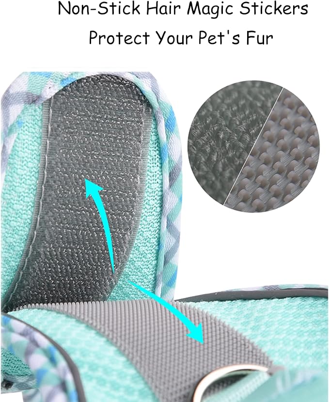 Petank Dog Harness for Small Medium Dogs No Pull, Puppy Harness and Leash Set, Step in Dog Harness for Walking, Running, Training, Small Dog Vest(Bule, XXS)
