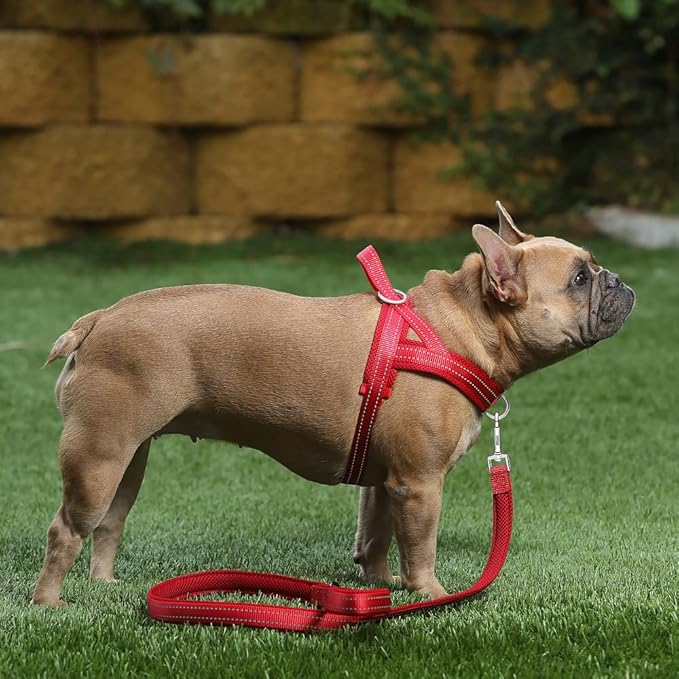 Plutus Pet No Pull Dog Harness with Breathable Mesh Padded, Adjustable Reflective Escape Proof Dog Harness, Quick Fit Dog Vest Harness for Small Medium Large Dogs(M, Red)